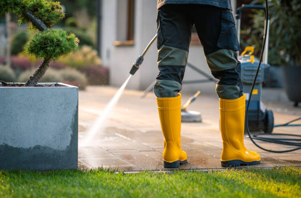 Best Pressure Washing Siding  in Dallas, TX